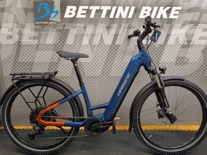 HAIBIKE Trekking 4 low