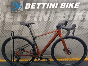 MONDRAKER ARID Carbon